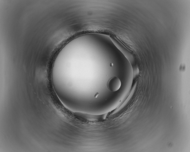 X0000091090256200708131326