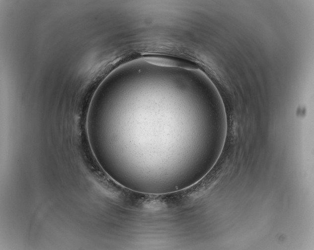 X0000091090258200708131326