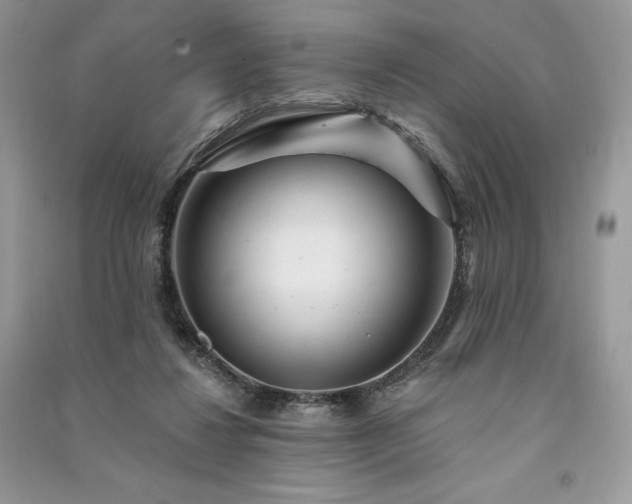 X0000091090260200708131326