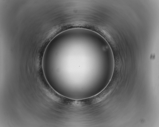 X0000091090261200708131326