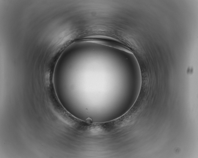 X0000091090262200708131326