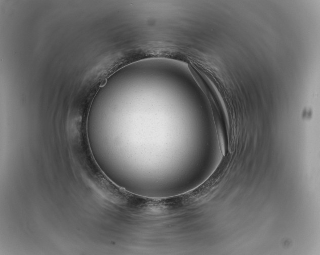 X0000091090263200708131326
