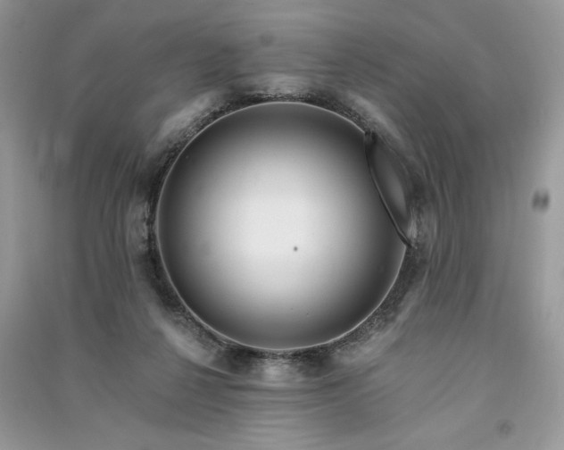 X0000091090264200708131326