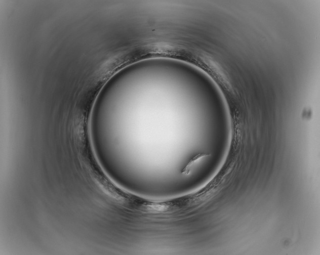 X0000091090265200708131326