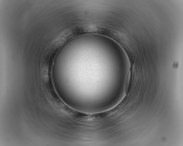X0000091090267200708131326