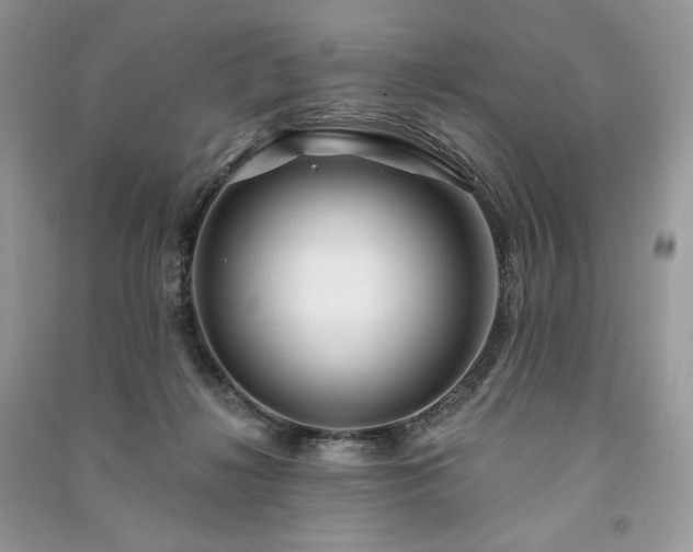 X0000091090268200708131326