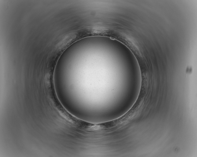 X0000091090269200708131326