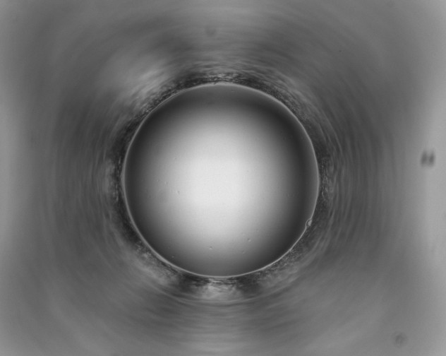X0000091090270200708131326
