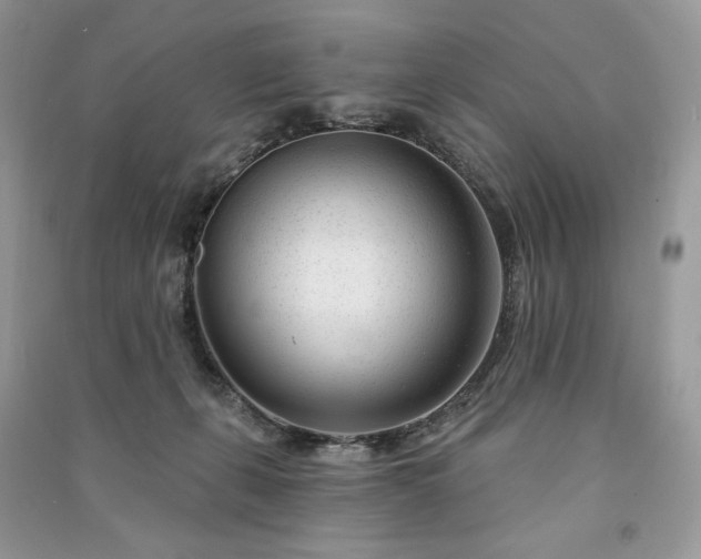 X0000091090271200708131326