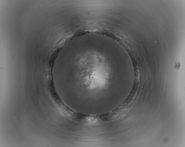 X0000091090272200708131326
