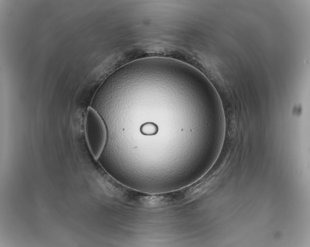 X0000091090273200708131326