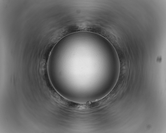 X0000091090275200708131326