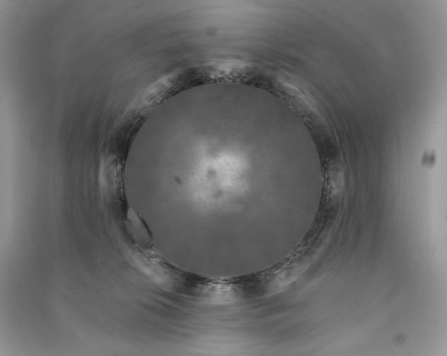 X0000091090276200708131326