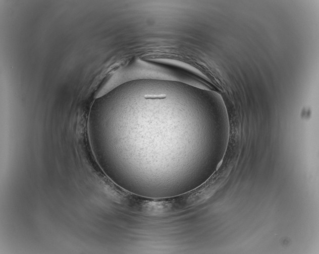 X0000091090277200708131326