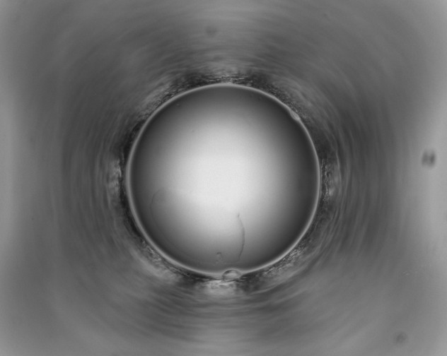 X0000091090279200708131326