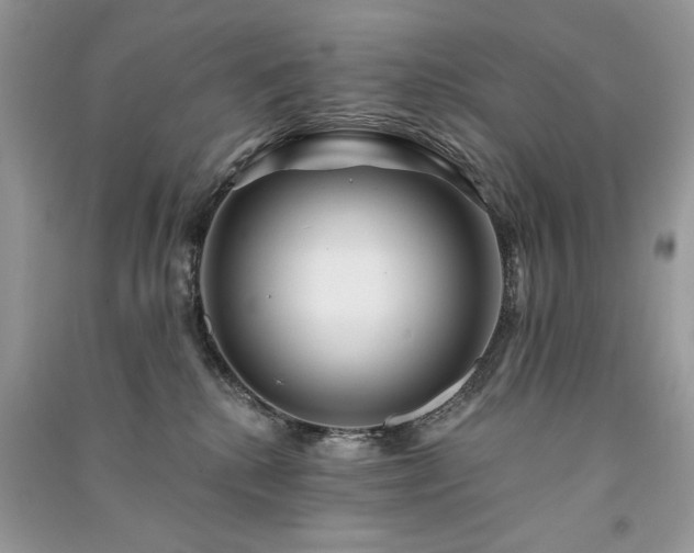 X0000091090280200708131326