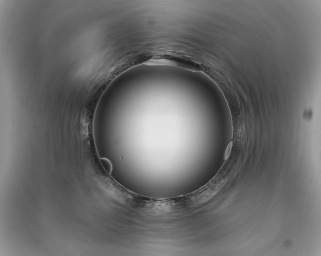 X0000091090282200708131326