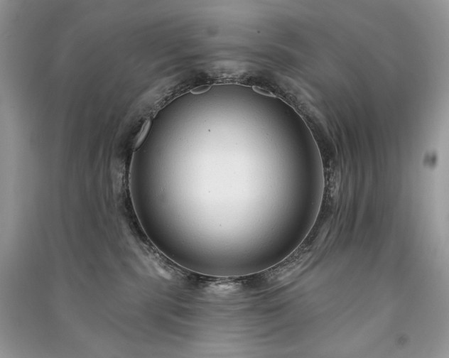X0000091090283200708131326