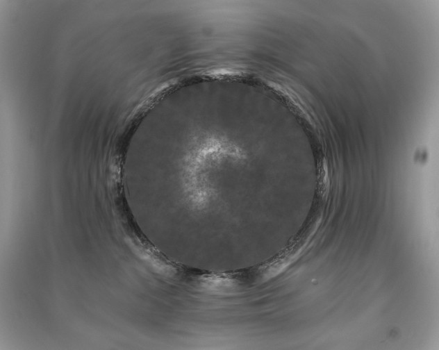 X0000091090284200708131326