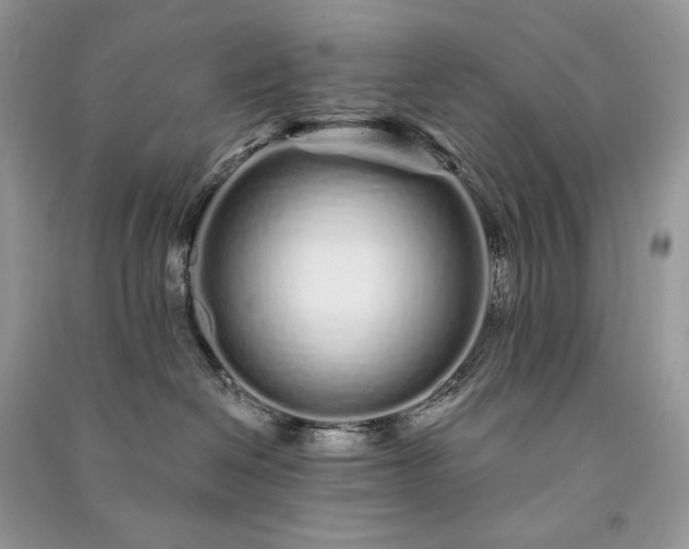 X0000091090286200708131326