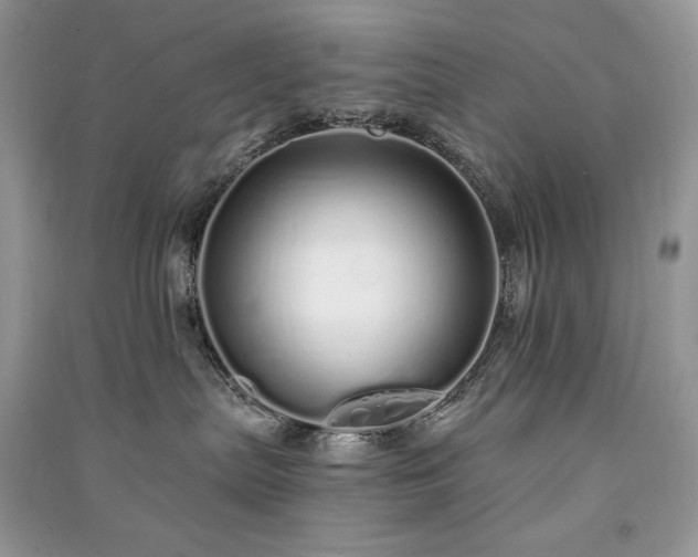 X0000091090287200708131326