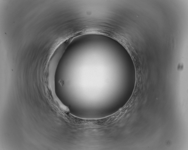 X0000091090289200708131325