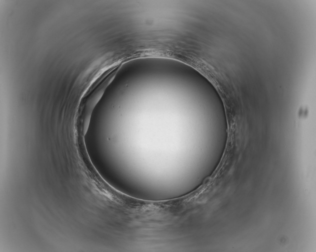 X0000091090290200708131325