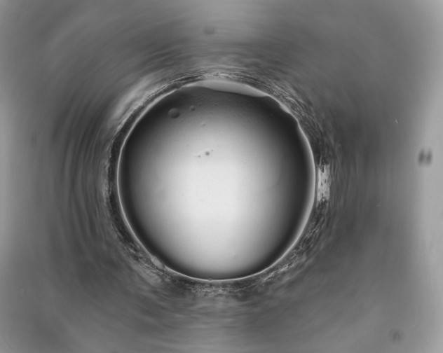 X0000091090291200708131325