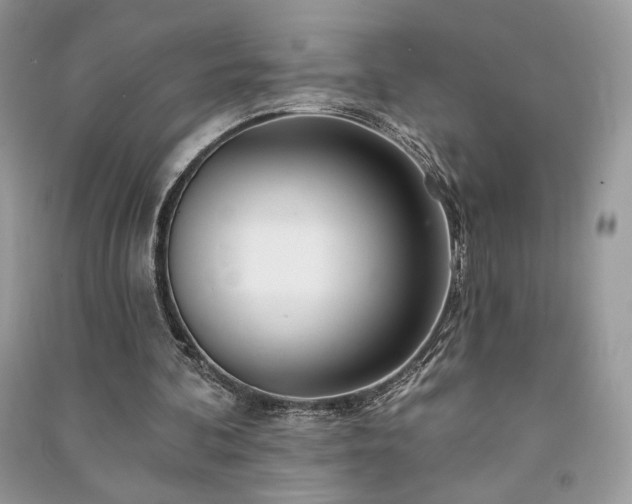 X0000091090292200708131325