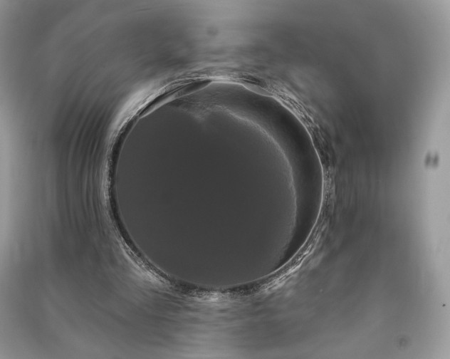 X0000091090293200708131325