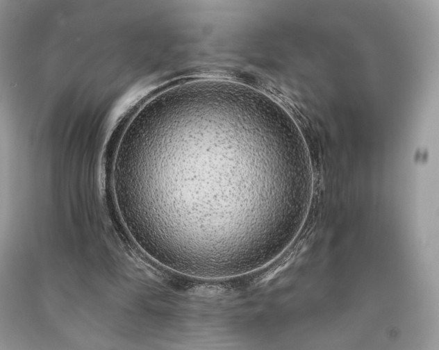 X0000091090294200708131325