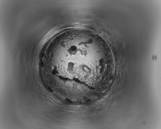 X0000091090295200708131325