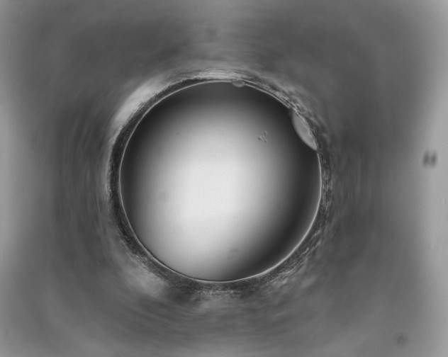 X0000091090296200708131325