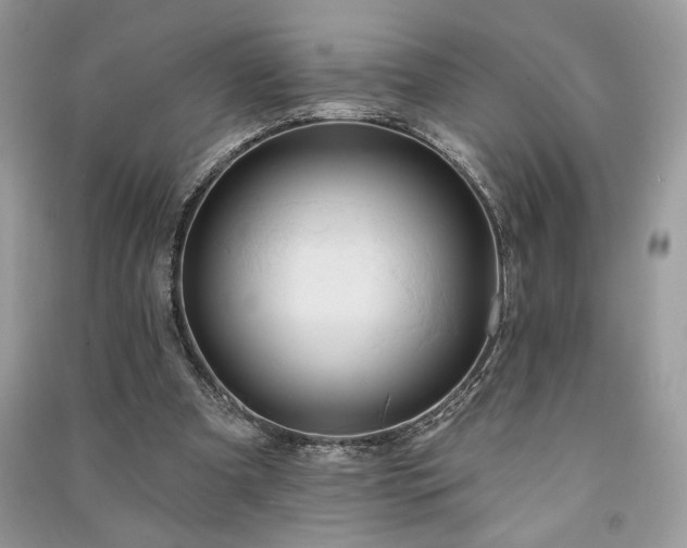 X0000091090297200708131325