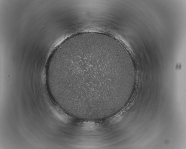 X0000091090298200708131325