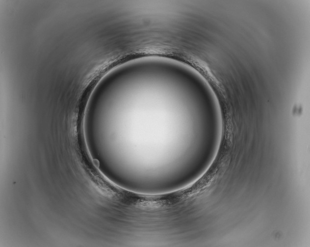 X0000091090299200708131325