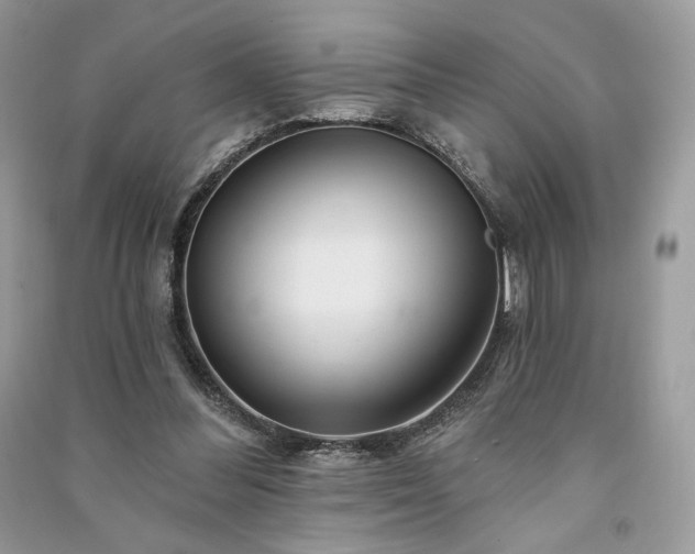 X0000091090300200708131325