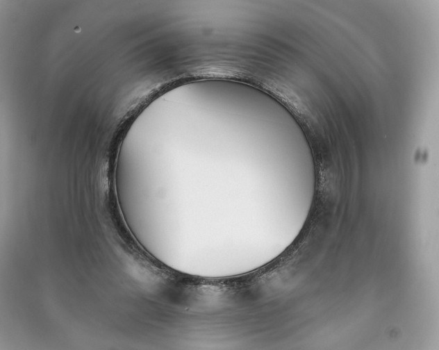 X0000091090302200708131325