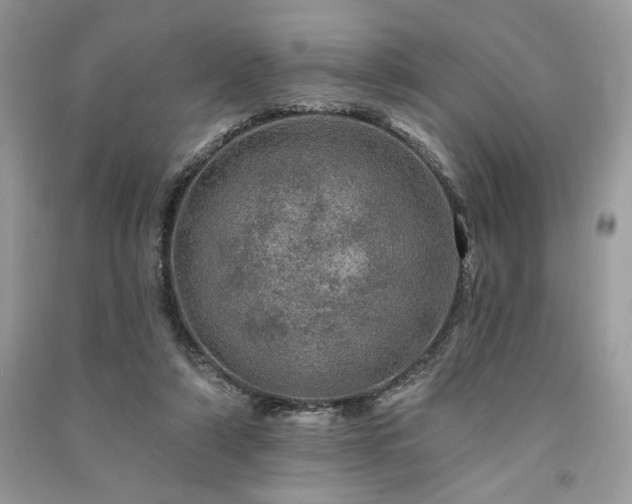 X0000091090306200708131325