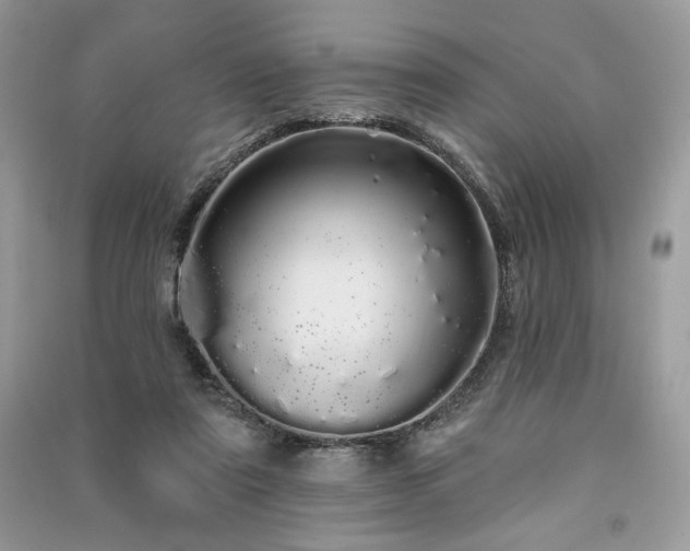 X0000091090307200708131325
