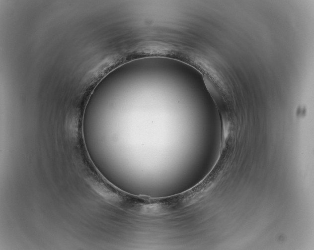 X0000091090309200708131325