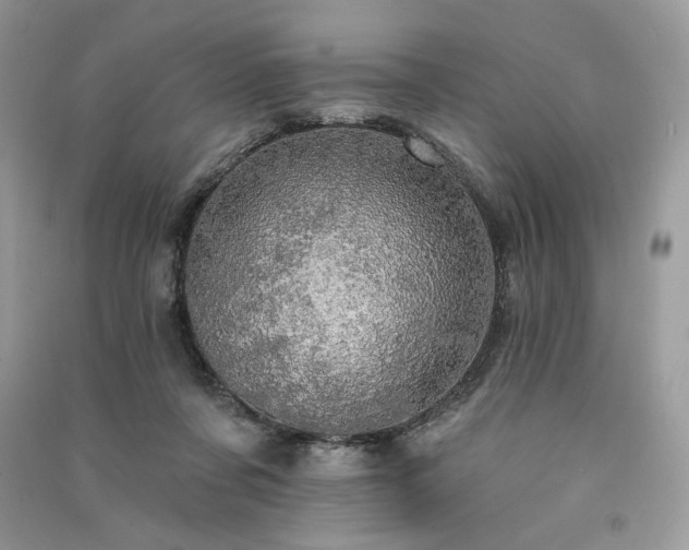 X0000091090311200708131325
