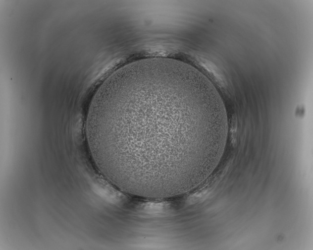 X0000091090314200708131325