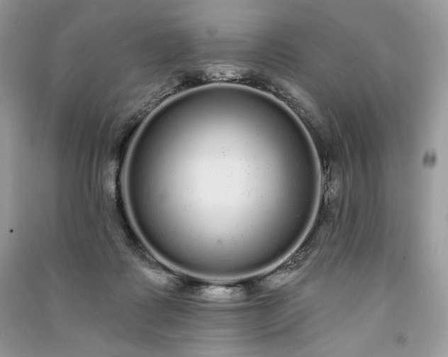 X0000091090315200708131325