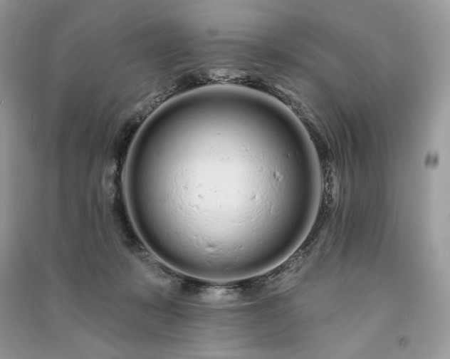 X0000091090319200708131325