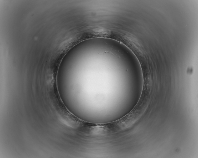 X0000091090320200708131325
