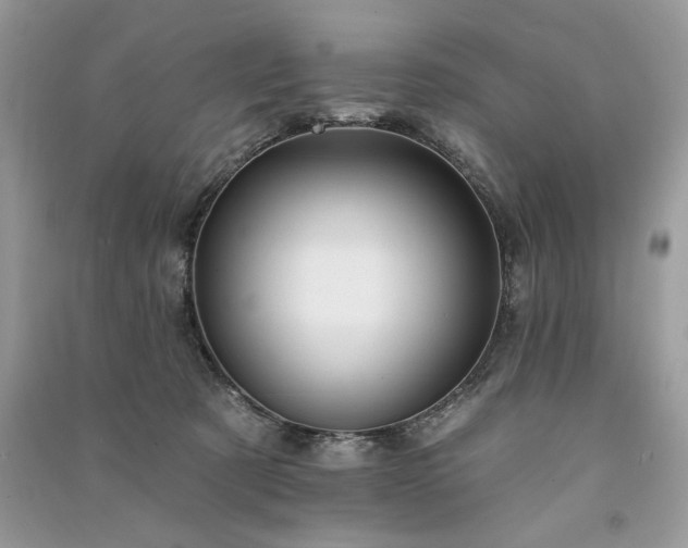 X0000091090321200708131325