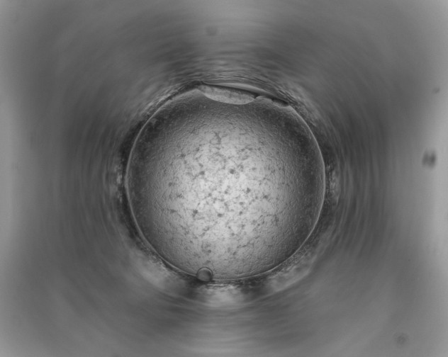 X0000091090322200708131325