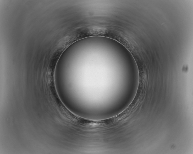X0000091090323200708131325