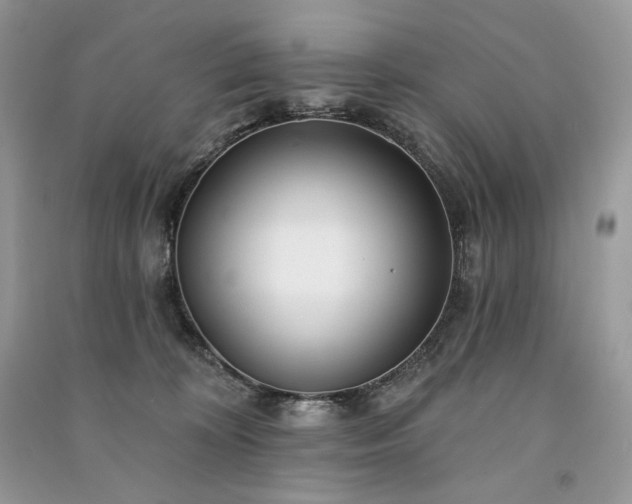 X0000091090324200708131325